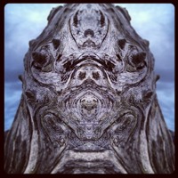 Stacks Image 424